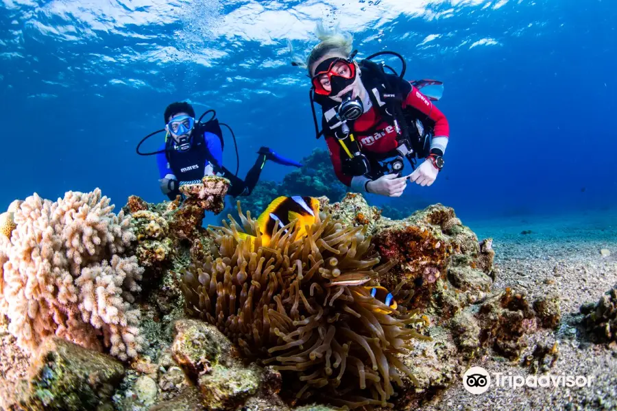 Manta Isrotel Diving Center