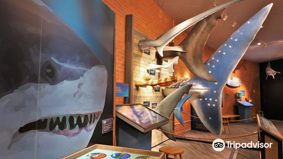 Flandrau Science Center and Planetarium