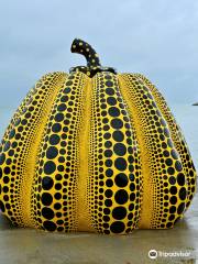 Yellow Pumpkin