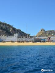 Sea Sports In Cabo