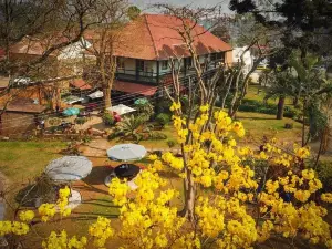 The Society of Malawi Library