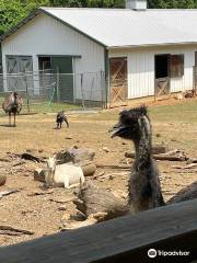 ルーレイ・ズー A レスキュー動物園