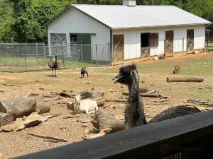 ルーレイ・ズー A レスキュー動物園