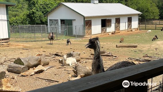 Luray Zoo - A Rescue Zoo