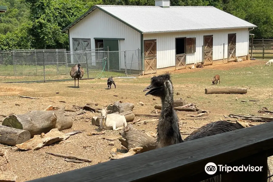 Luray Zoo A Rescue Zoo