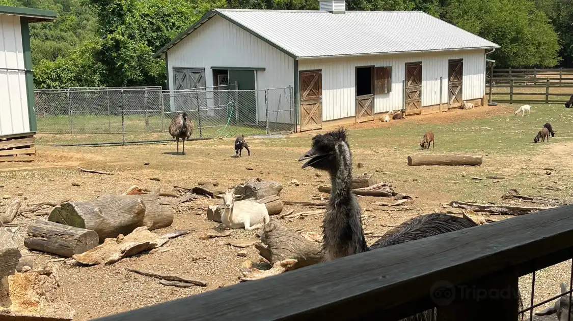 루레이 주 A 레스큐 동물원 주변 호텔