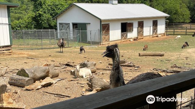 Luray Zoo-A Rescue Zoo