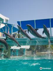 Interactive Aquarium Cancún