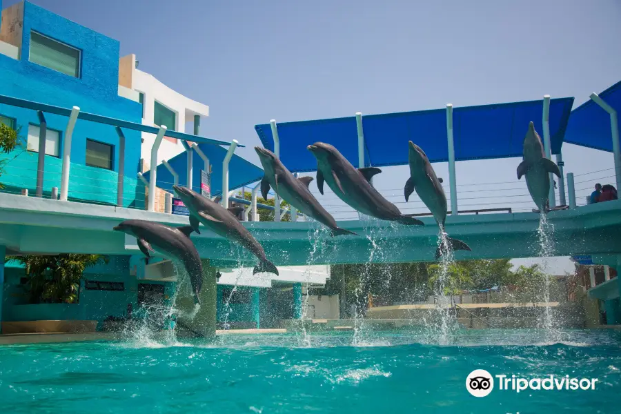 Interactive Aquarium Cancún