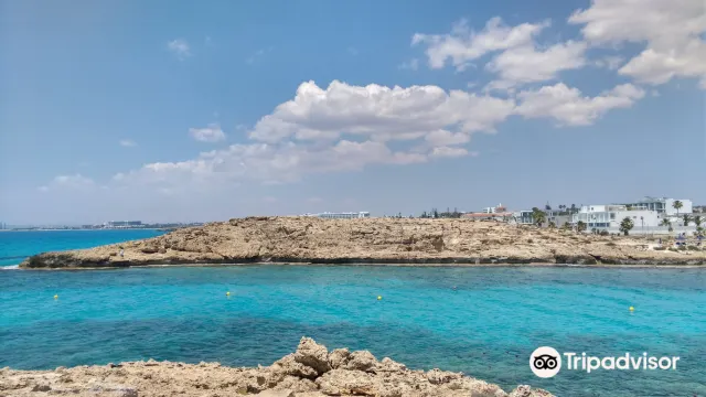 Vathia Gonia