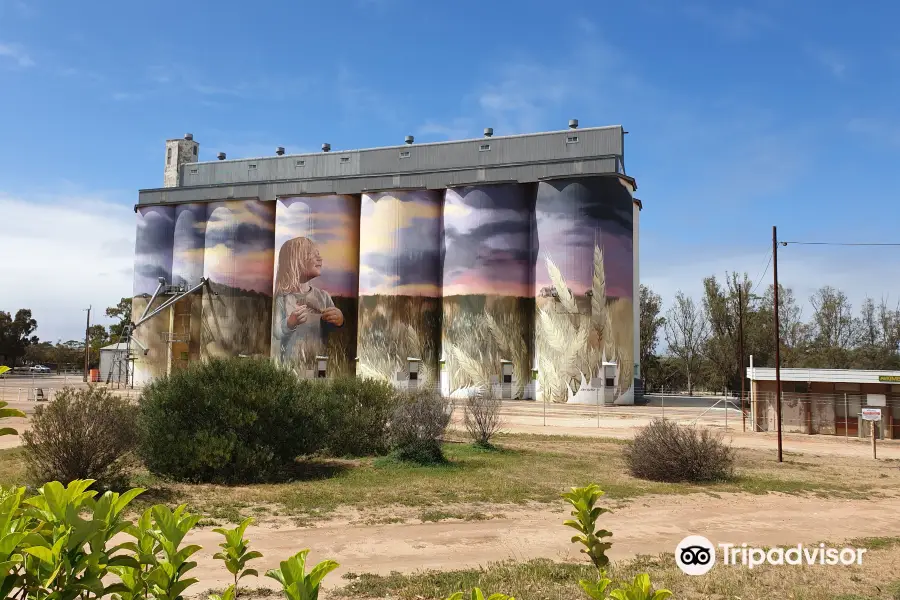 Viterra’s Kimba Silos