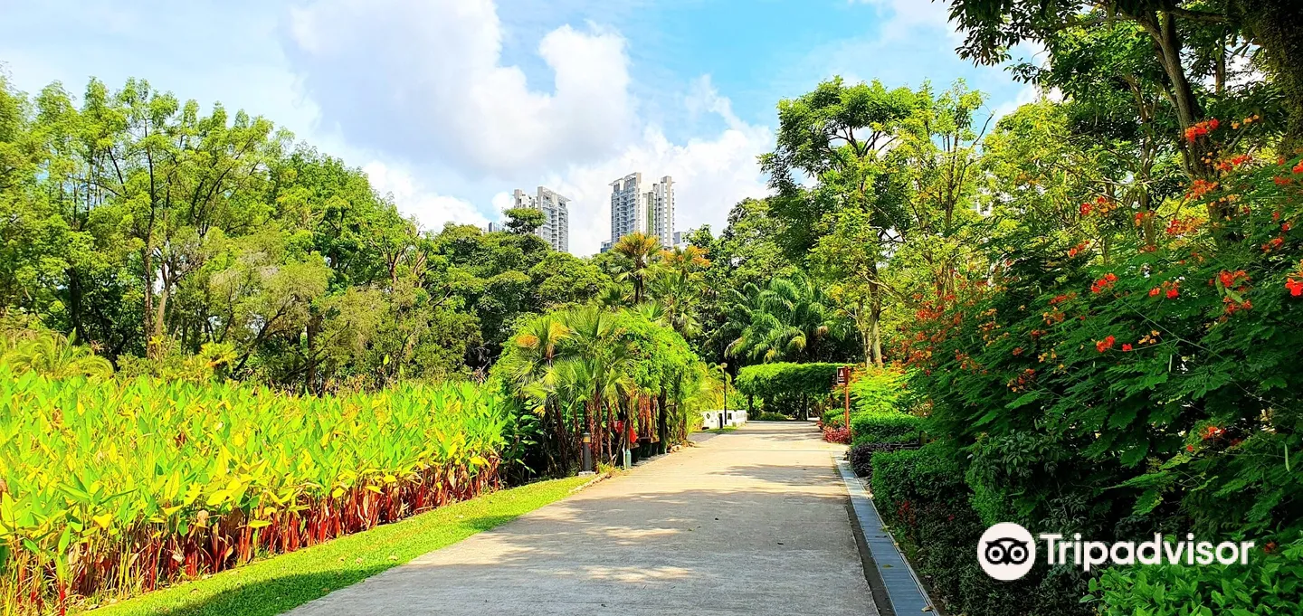 2_大巴窯市鎮公園