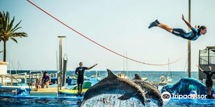 Marineland Mallorca