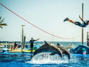 Marineland Mallorca