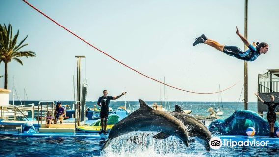Marineland Mallorca