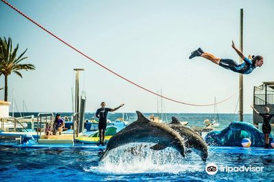 Аквапарк Marineland Майорка