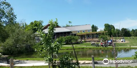 Nashoba Valley Winery