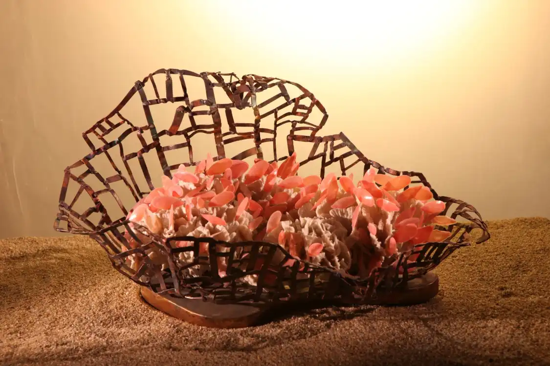 Các khách sạn gần World Seashell Museum
