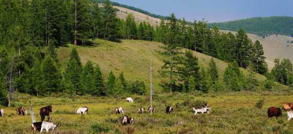 Hoteles en Hövsgöl, Mongolia