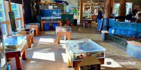 Ucluelet Aquarium