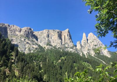 Escursione sul Sentiero Geologico alla Malga Prossliner