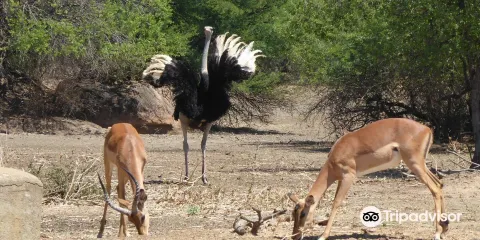 Gaborone Game Reserve