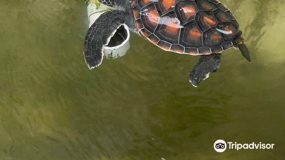 Discover Marine Wildlife and Eco Centre