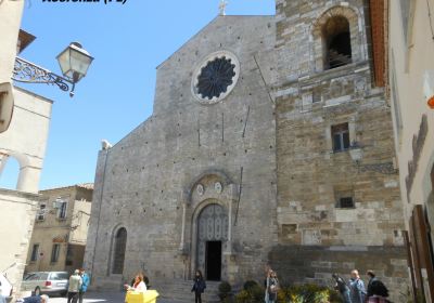 Cathedral of Saint Mary of the Assumption and Saint Canius Bishop