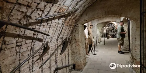 Expozitie Inedita: Ev Mediu. Tortura Si Executie