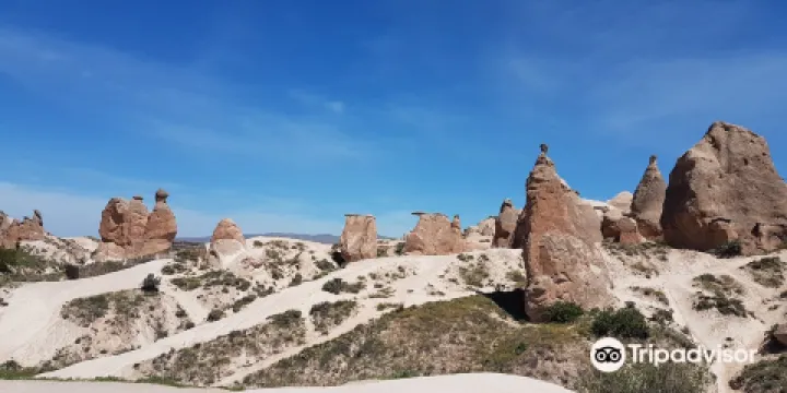 Camel Rock