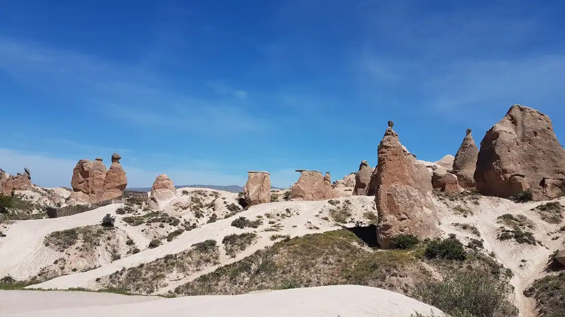 Hotels near Camel Rock