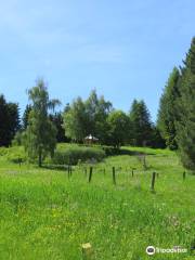 Jardín Botánico Alpino alle Viotte di Monte Bondone