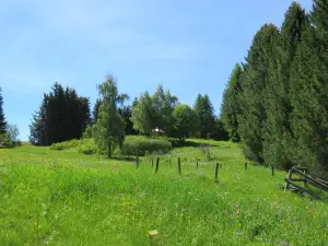 Botanischer Alpengarten Viote