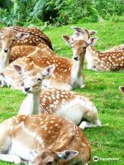 Parc animalier du Quinquis