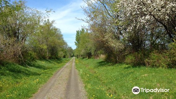 Newport Bike Path