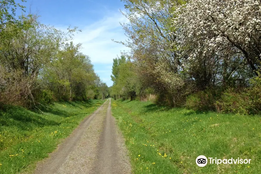 Newport Bike Path