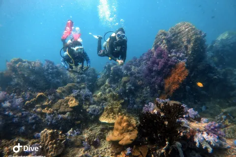 Diving in Koh Lipe