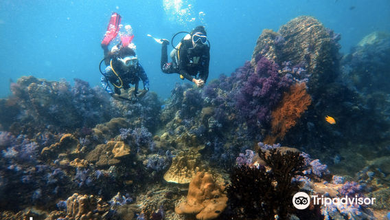 Diving in Koh Lipe