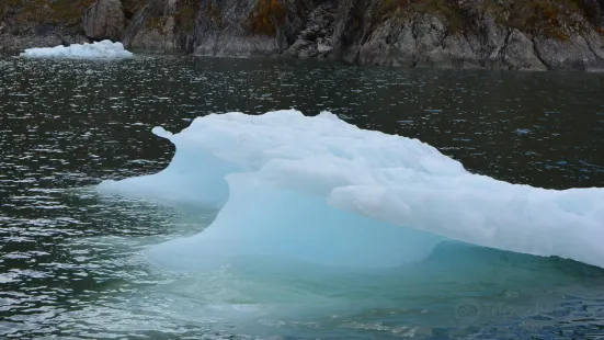 Glacier Jorge Montt