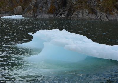 Glaciar Jorge Montt