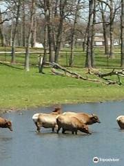 フィリップス・パーク動物園