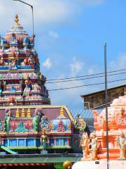 Sri Srinivasagar Kaliamman Temple