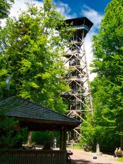 Loorenkopf Aussichtsturm