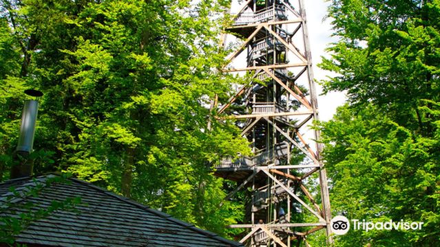 Loorenkopf Aussichtsturm