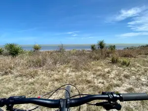 Laguna Atascosa National Wildlife Refuge