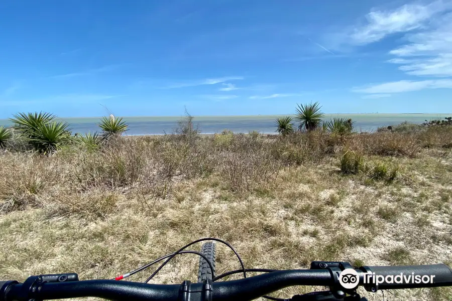 Laguna Atascosa National Wildlife Refuge