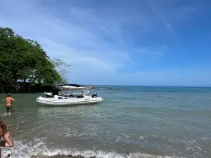 Iguana Divers