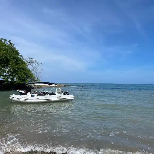 Iguana Divers
