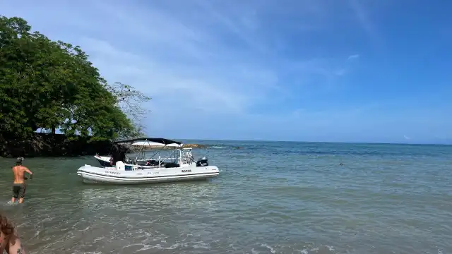 Iguana Divers