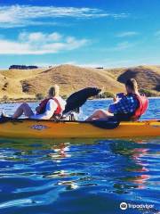 Seal Kayak Kaikoura